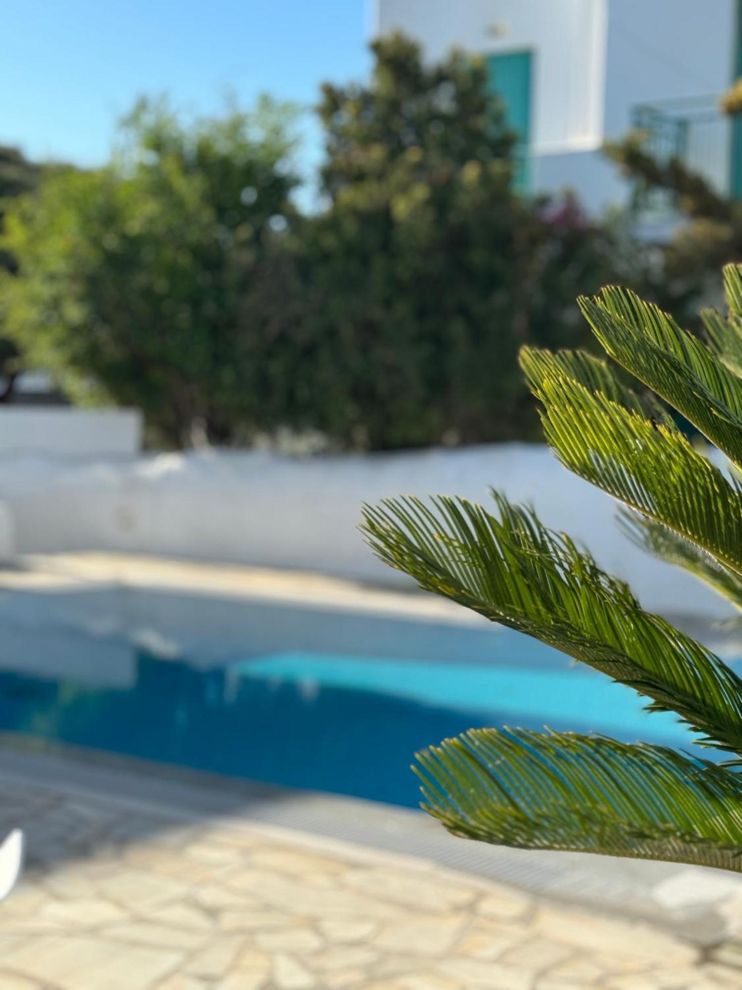 Enso Mykonos Living Lägenhet Mykonos Town Exteriör bild